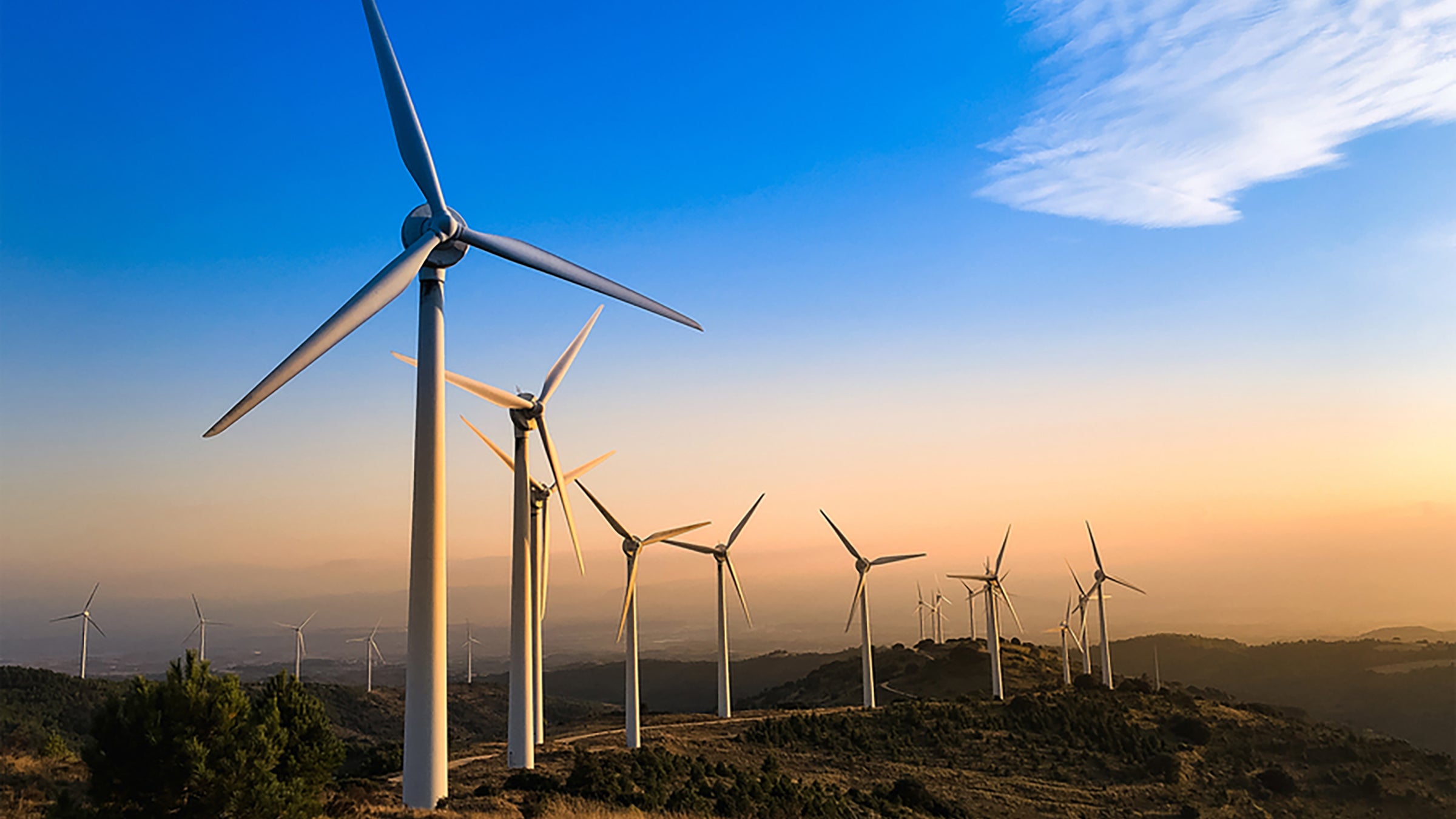 A row of wind turbines in the setting sun